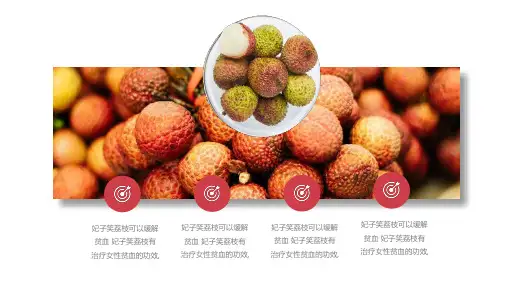 妃子笑荔枝夏日尝鲜营销画册PPT模板课件