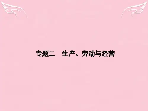 高考政治二轮复习 专题二专题二 生产 劳动与经营课件