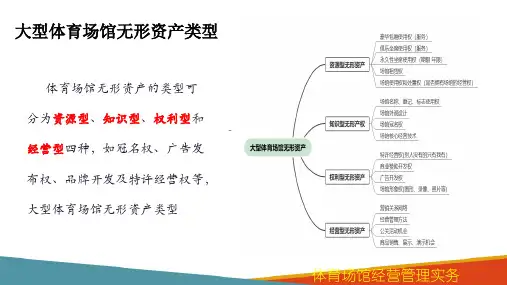 体育场馆的无形资产开发 大型体育场馆无形资产类型