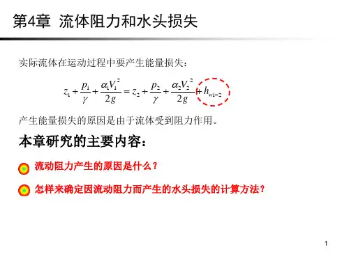 流体力学 流体阻力和水头损失