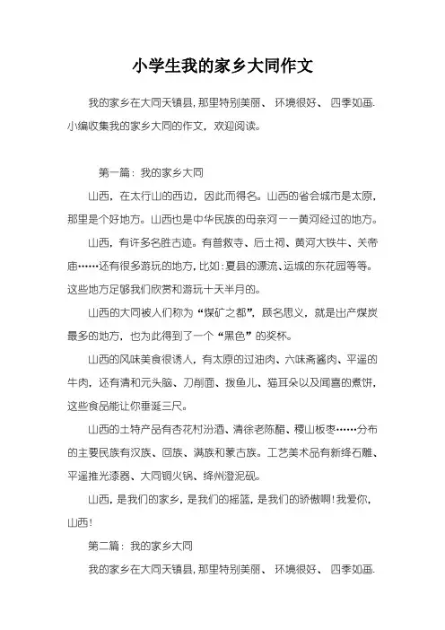 小学生我的家乡大同作文