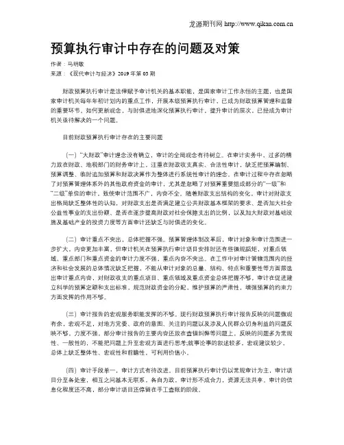 预算执行审计中存在的问题及对策