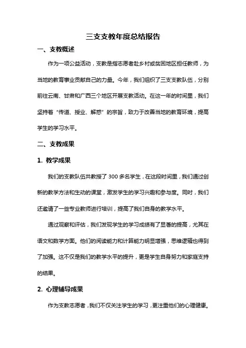 三支支教年度总结报告
