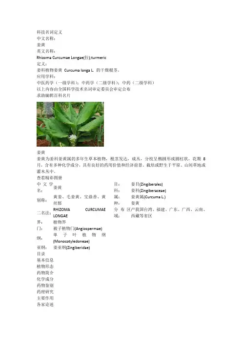 百科-姜黄