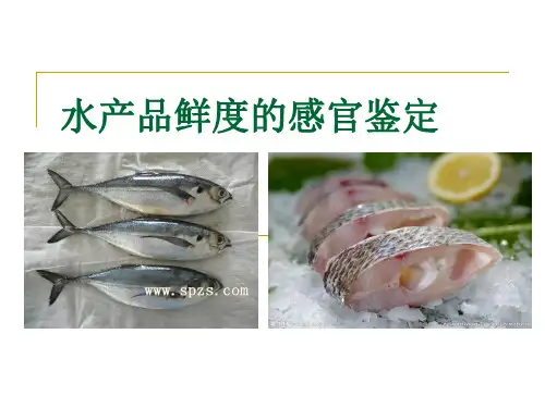 精品实训-鱼松制作