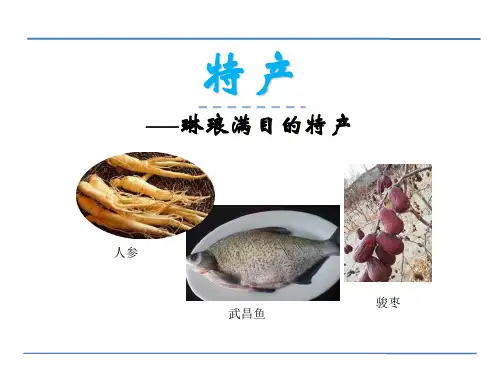 《特产》语文教学PPT课件(3篇)