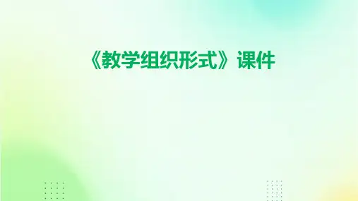 《教学组织形式》课件