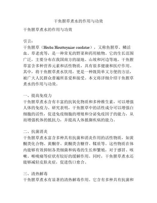 干鱼腥草煮水的作用与功效