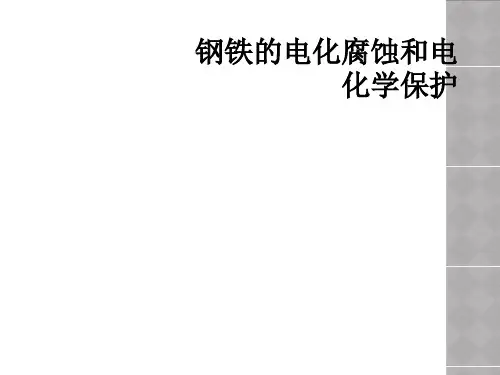 钢铁的电化腐蚀和电化学保护