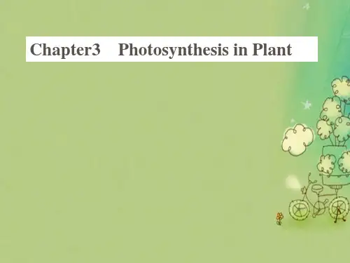 六年级科学上册植物的光合作用课件1新人教版