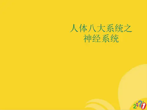 人体八大系统之神经系统标准版资料