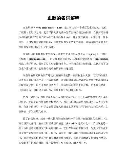 血脑的名词解释