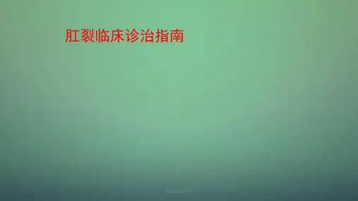 肛裂诊治指南ppt课件