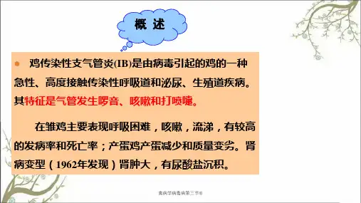 禽病学病毒病第三节IB