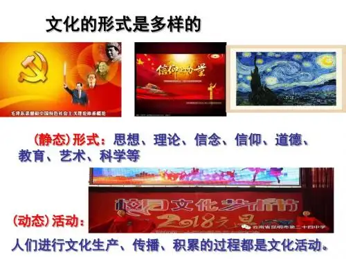 文化的社会作用ppt课件