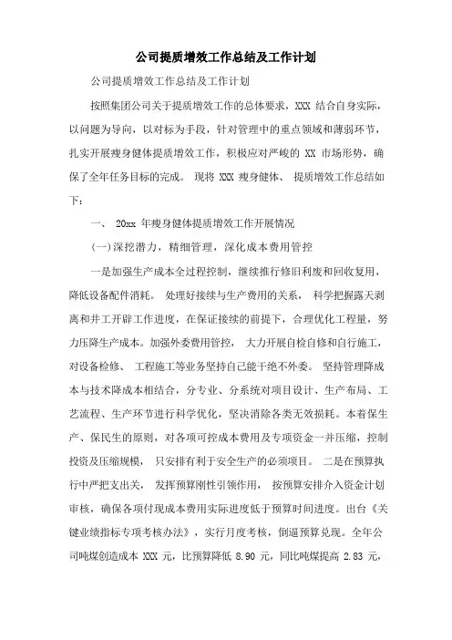 公司提质增效工作总结及工作计划