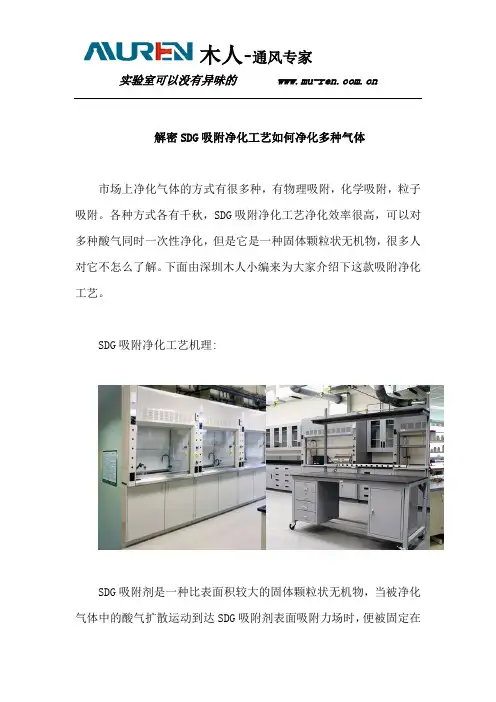 解密SDG吸附净化工艺如何净化多种气