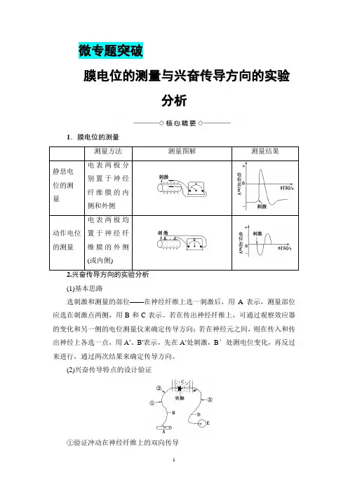 2018年浙科版生物必修320  第2章  微专题突破  膜电位的测量与兴奋传导方向的实验分析