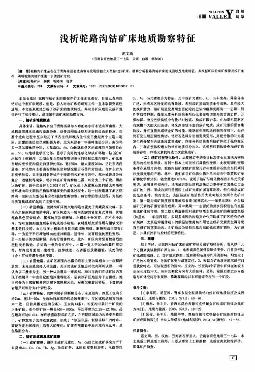 浅析驼路沟钴矿床地质勘察特征