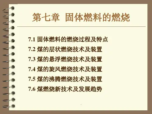 固体燃料的燃烧