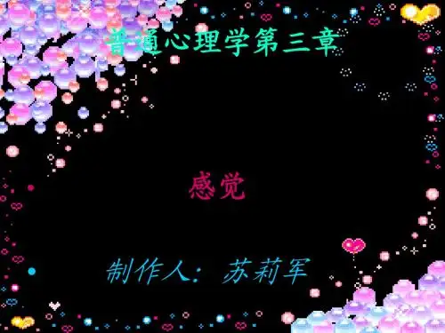 普通心理学之感觉