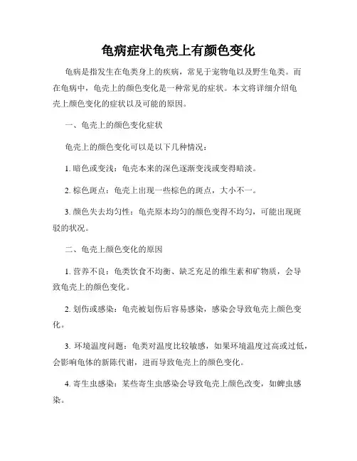 龟病症状龟壳上有颜色变化