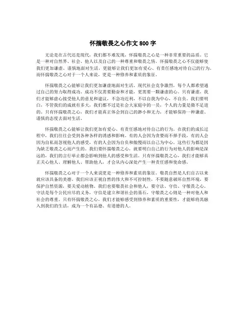怀揣敬畏之心作文800字 3