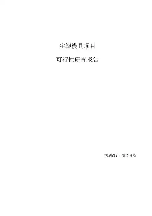 注塑模具项目可行性研究报告参考模板.docx