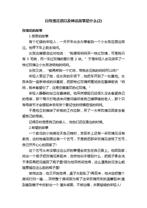 白玫瑰花语以及神话故事是什么（2）
