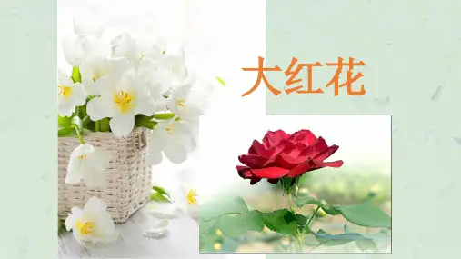 幼儿园教学大红花课件