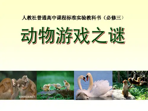 动物游戏之谜  优质课一等奖