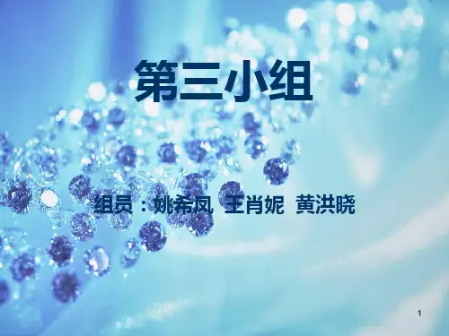 阿里巴巴政委体系ppt课件
