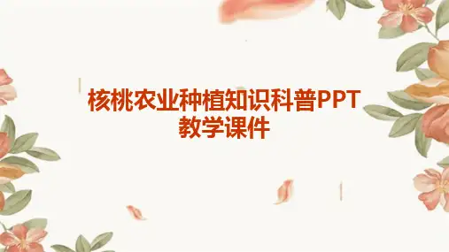 核桃农业种植知识科普PPT教学课件