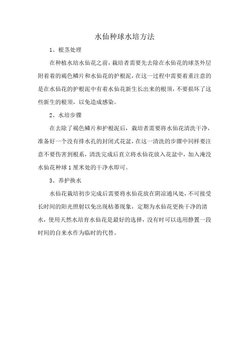 水仙种球水培方法