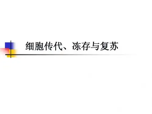 细胞的传代冻存复苏