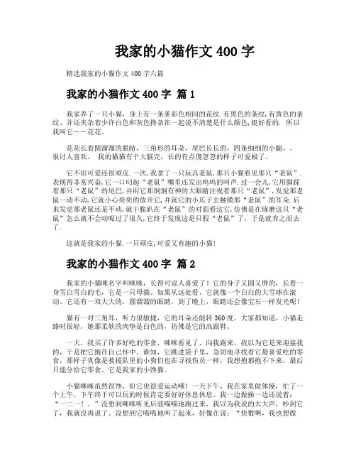我家的小猫作文400字