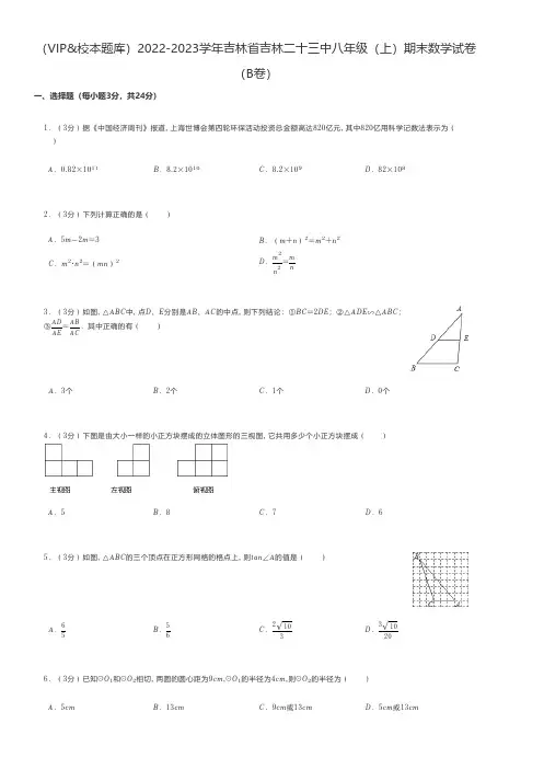 初中数学 2022-2023学年吉林省吉林市八年级(上)期末数学试卷(B卷)