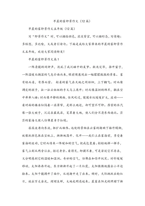 早晨的雾即景作文(12篇)