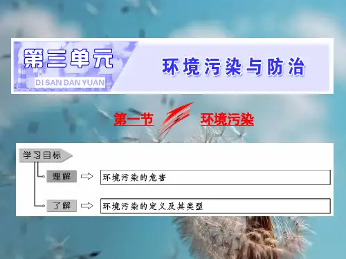 环境污染PPT精品课件
