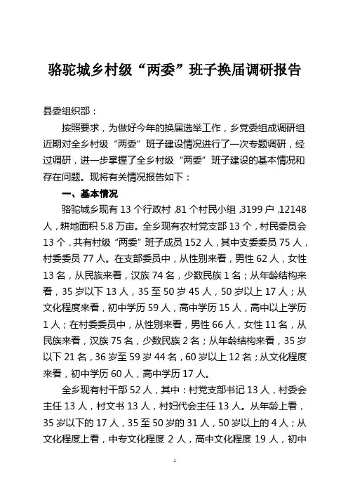 村两委班子调研报告