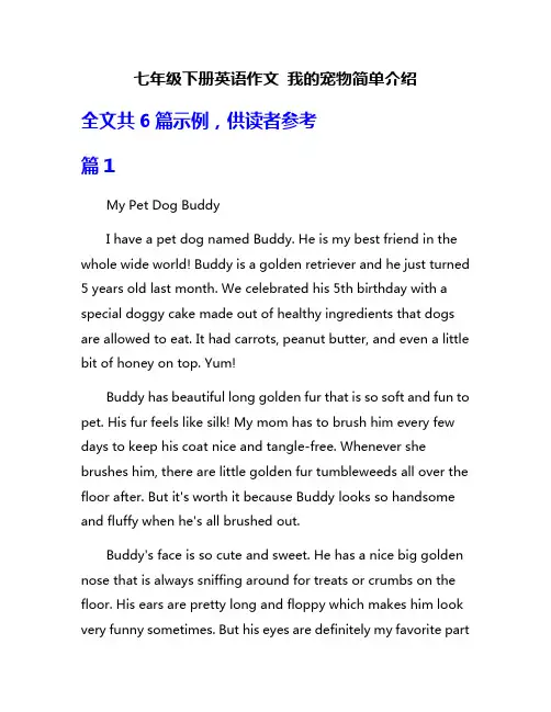 七年级下册英语作文 我的宠物简单介绍