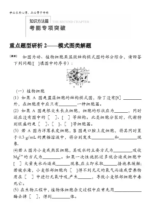 2014高考生物( 广西专用)一轮复习精品教学案 考能专项突破 重点题型研析2——模式图类解题