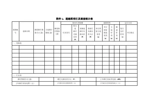 道路照明灯具调查统计表