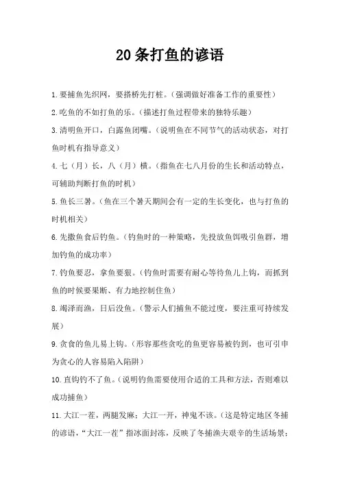 20条打鱼的谚语