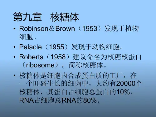 【医学PPT课件】核糖体