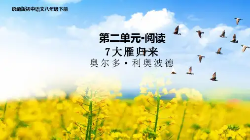 人教部编版语文八年级下册第二单元《大雁归来》第二课时优秀PPT课件