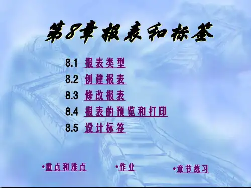 第八章报表.ppt