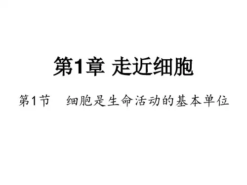 2020-2021学年人教版生物必修一(新教材)课件：1-1细胞是生命活动的基本单位