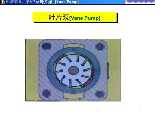 叶片泵