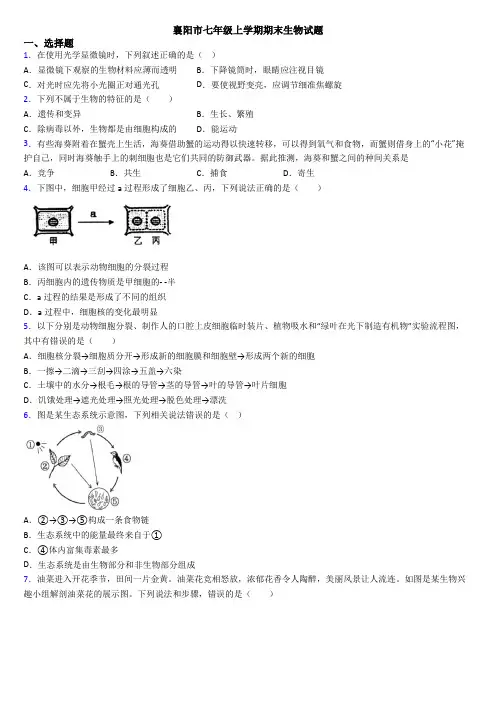 襄阳市七年级上学期期末生物试题